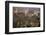 City Skyline from Victoria Peak, Hong Kong, China-Paul Souders-Framed Photographic Print