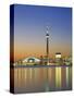 City Skyline Including Cn Tower in the Evening, Toronto, Ontario, Canada-Roy Rainford-Stretched Canvas