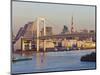 City Skyline Including the Rainbow Bridge and Tokyo Tower, Odaiba, Tokyo Bay, Tokyo, Honshu, Japan-Gavin Hellier-Mounted Photographic Print