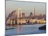 City Skyline Including the Rainbow Bridge and Tokyo Tower, Odaiba, Tokyo Bay, Tokyo, Honshu, Japan-Gavin Hellier-Mounted Photographic Print