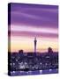 City Skyline / Night View, Auckland, North Island, New Zealand-Steve Vidler-Stretched Canvas