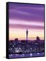 City Skyline / Night View, Auckland, North Island, New Zealand-Steve Vidler-Framed Stretched Canvas