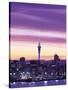 City Skyline / Night View, Auckland, North Island, New Zealand-Steve Vidler-Stretched Canvas