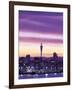 City Skyline / Night View, Auckland, North Island, New Zealand-Steve Vidler-Framed Photographic Print