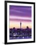 City Skyline / Night View, Auckland, North Island, New Zealand-Steve Vidler-Framed Photographic Print