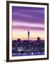 City Skyline / Night View, Auckland, North Island, New Zealand-Steve Vidler-Framed Photographic Print