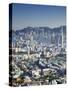 City Skyline of Kowloon and Hong Kong Island from Lion Rock, Hong Kong, China-Ian Trower-Stretched Canvas