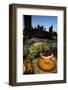 City Skyline Overview of Navy Pier at Sunset, Chicago, Illinois-Cindy Miller Hopkins-Framed Photographic Print