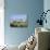 City Skyline, Perth, Western Australia, Australia-Peter Scholey-Stretched Canvas displayed on a wall