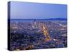 City Skyline Viewed from Twin Peaks, San Francisco, California, USA-Gavin Hellier-Stretched Canvas