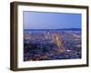 City Skyline Viewed from Twin Peaks, San Francisco, California, USA-Gavin Hellier-Framed Photographic Print