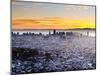 City Skyline Viewed from Twin Peaks, San Francisco, California, USA-Gavin Hellier-Mounted Photographic Print