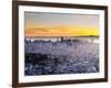 City Skyline Viewed from Twin Peaks, San Francisco, California, USA-Gavin Hellier-Framed Photographic Print