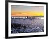 City Skyline Viewed from Twin Peaks, San Francisco, California, USA-Gavin Hellier-Framed Photographic Print