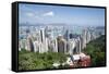 City skyline, viewed from Victoria Peak, Hong Kong, China, Asia-Fraser Hall-Framed Stretched Canvas