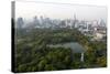 City Skyline with Lumphini Park-Lee Frost-Stretched Canvas