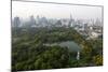 City Skyline with Lumphini Park-Lee Frost-Mounted Photographic Print