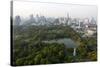 City Skyline with Lumphini Park-Lee Frost-Stretched Canvas