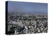 City Skyline with Mount Fuji Beyond, Tokyo, Japan-Gavin Hellier-Stretched Canvas