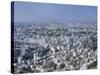 City Skyline with Mount Fuji in the Distance, Tokyo, Honshu, Japan, Asia-Gavin Hellier-Stretched Canvas
