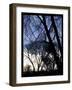 City Sunrise 1-Tim Nyberg-Framed Giclee Print