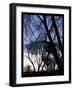 City Sunrise 1-Tim Nyberg-Framed Giclee Print