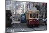 City Tram, Hiroshima, Western Honshu, Japan, Asia-Stuart Black-Mounted Photographic Print