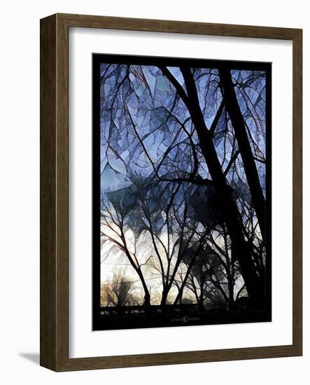 City Tree-Tim Nyberg-Framed Giclee Print