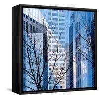 City Trees I-Kevin Calaguiro-Framed Stretched Canvas