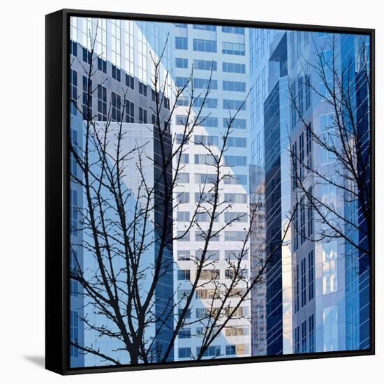 City Trees I-Kevin Calaguiro-Framed Stretched Canvas