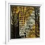 City Trees II-Kevin Calaguiro-Framed Art Print