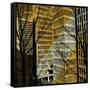 City Trees II-Kevin Calaguiro-Framed Stretched Canvas