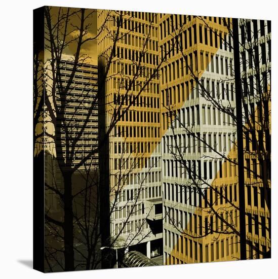 City Trees II-Kevin Calaguiro-Stretched Canvas