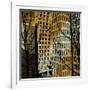 City Trees II-Kevin Calaguiro-Framed Art Print