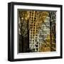 City Trees II-Kevin Calaguiro-Framed Art Print