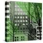City Trees III-Kevin Calaguiro-Stretched Canvas