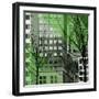 City Trees III-Kevin Calaguiro-Framed Art Print