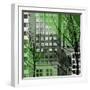 City Trees III-Kevin Calaguiro-Framed Art Print