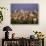 City View and Monumento Vittorio Emanuele Il, The Vatican, Rome, Italy-Walter Bibikow-Photographic Print displayed on a wall