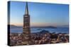 City View from the High Up, San Francisco, California, Usa-Chuck Haney-Stretched Canvas