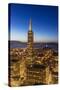 City View from the High Up, San Francisco, California, Usa-Chuck Haney-Stretched Canvas