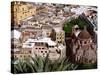 City View Including the Church of San Diego, Guadalajara, Mexico-Charles Sleicher-Stretched Canvas