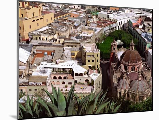 City View Including the Church of San Diego, Guadalajara, Mexico-Charles Sleicher-Mounted Premium Photographic Print