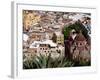 City View Including the Church of San Diego, Guadalajara, Mexico-Charles Sleicher-Framed Photographic Print