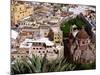 City View Including the Church of San Diego, Guadalajara, Mexico-Charles Sleicher-Mounted Photographic Print
