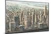 City View of Manhattan-Matthew Daniels-Mounted Art Print