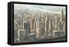 City View of Manhattan-Matthew Daniels-Framed Stretched Canvas