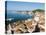 City View of Split, Region of Dalmatia, Croatia, Europe-Emanuele Ciccomartino-Stretched Canvas