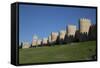 City Wall, originally built in the 12th century, Avila, UNESCO World Heritage Site, Spain-Richard Maschmeyer-Framed Stretched Canvas