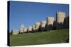 City Wall, originally built in the 12th century, Avila, UNESCO World Heritage Site, Spain-Richard Maschmeyer-Stretched Canvas